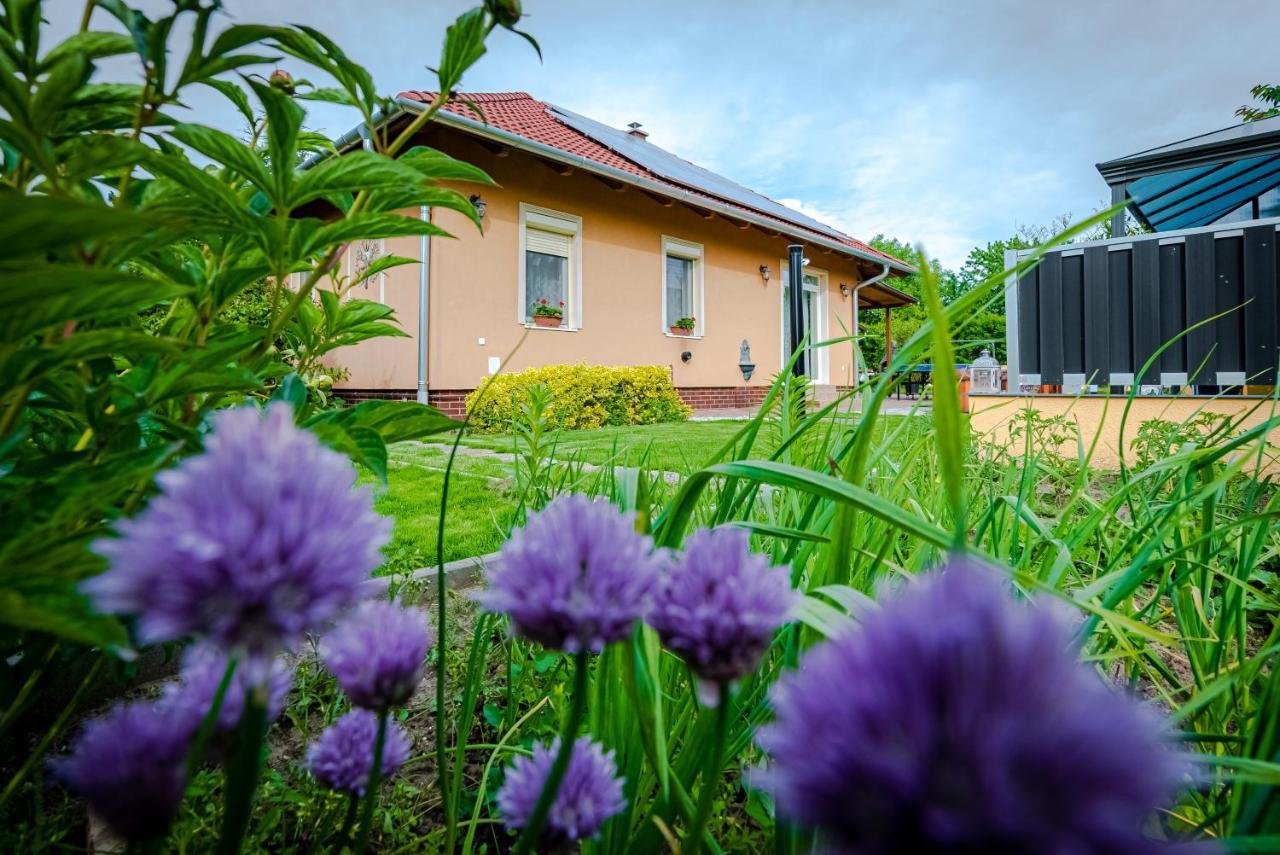 Vila Sunny Garden Pihenohaz Siófok Exteriér fotografie